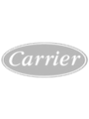 Carrier